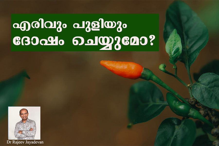Does spicy food cause stomach problems like ulcer and acidity by Dr Rajeev Jayadevan