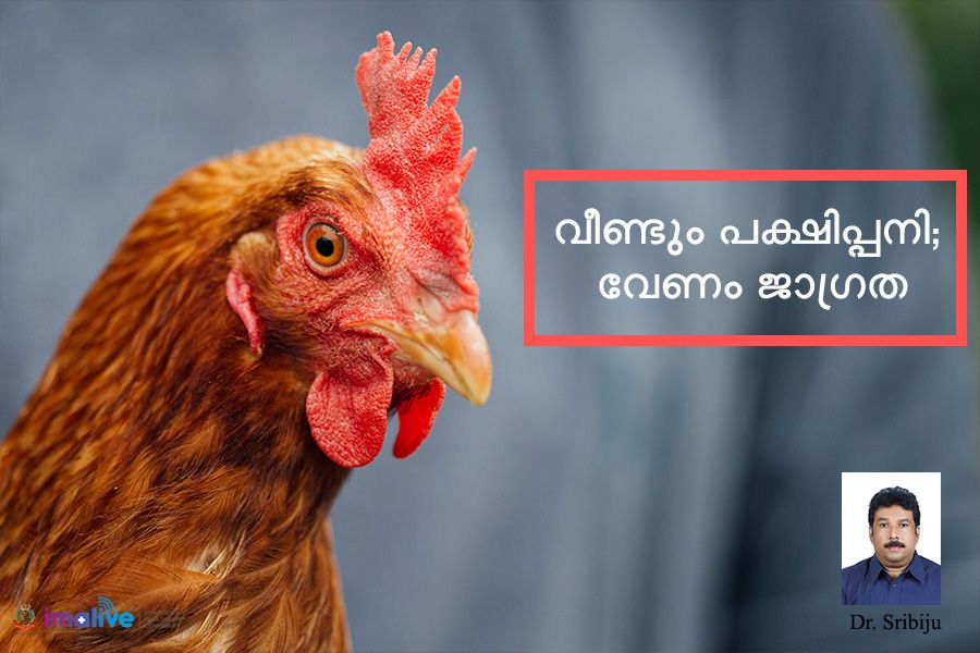 Avian/bird flu: Everything You Should Know by Dr Sribiju